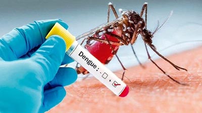 Rising Dengue Cases in UP: यूपी में लगातार बढ़ रहे डेंगू के मामले, आंकड़ा पहुंचा 16 हजार के पार