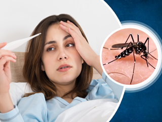 डेंगू बुखार क्या है? जानिए इसके लक्षण, कारण और घरेलू उपचार 