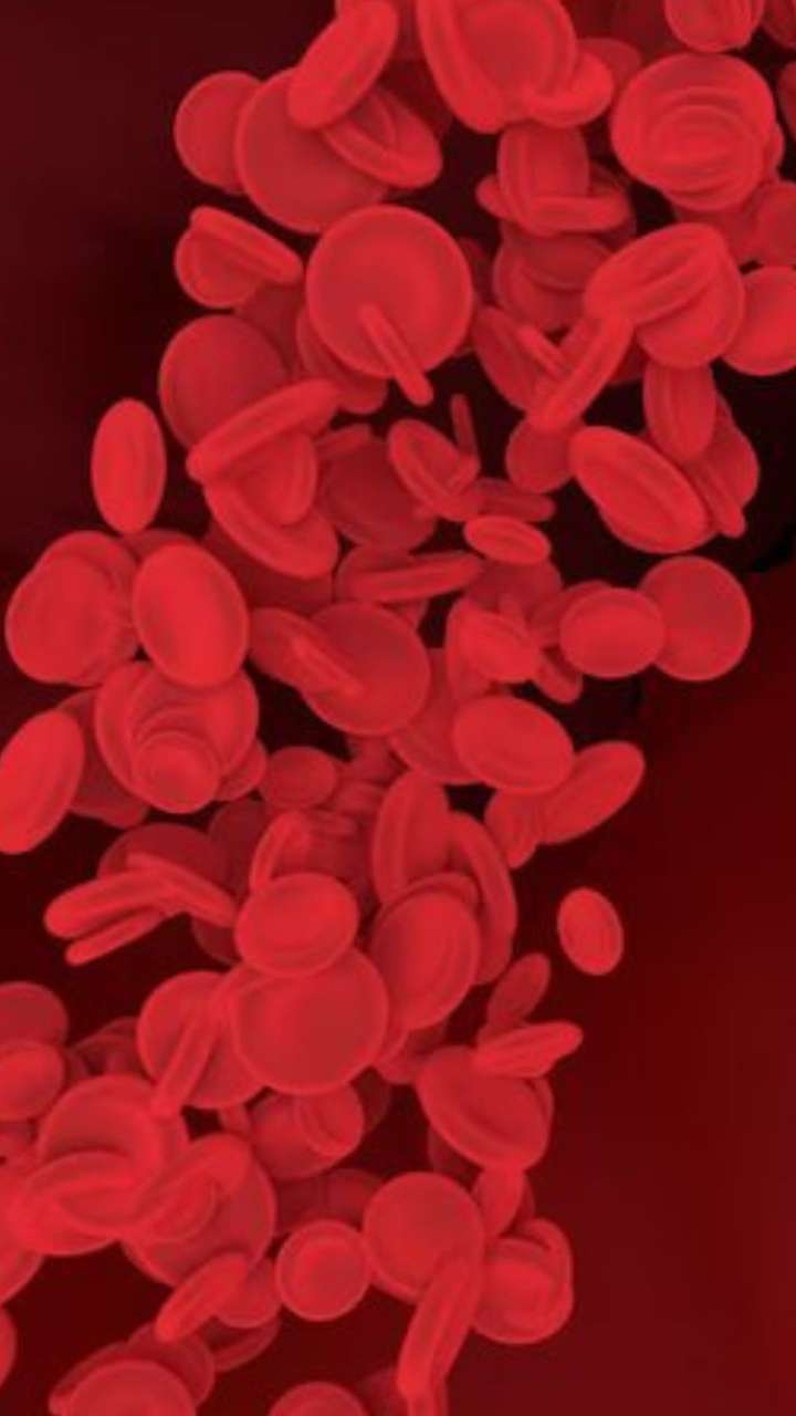 இரத்தத்தில் ஹீமோகுளோபினை அதிகரிக்க இந்த உணவு போதும்