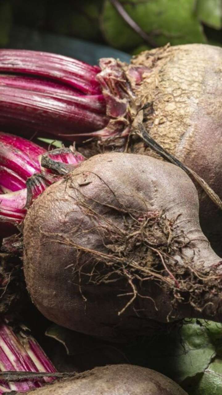 குளிர்காலத்தில் பீட்ரூட் சாப்பிடுவதால் கிடைக்கும் நன்மைகள் இதோ!