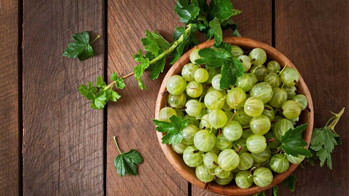 7 Health Benefits Of Eating Amla In Winters