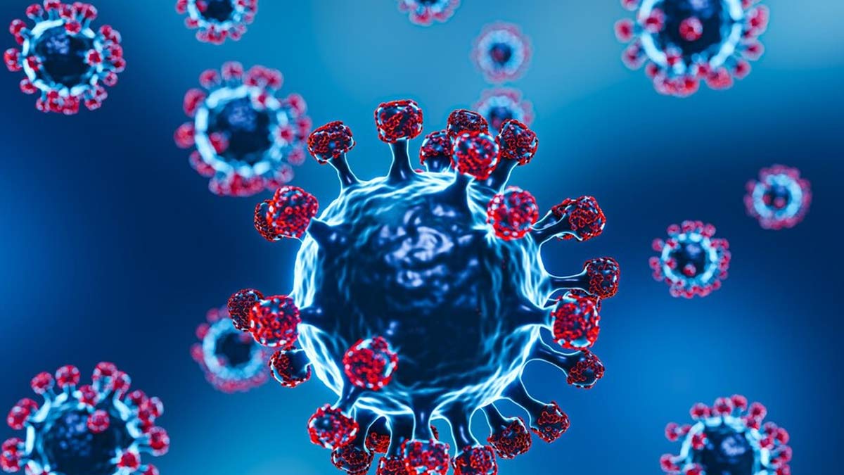 Here's How Omega-3 Fatty Acids Play A Crucial Role In Preventing Respiratory Infections