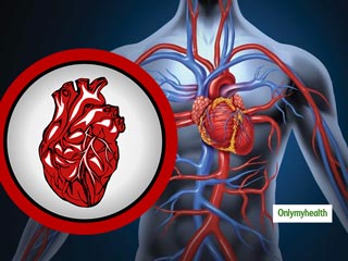 All You Need To Know About A Heart Transplant From Cardiologist Dr Dora