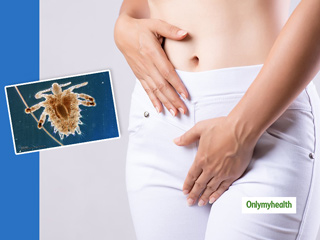 Have You Heard About Pubic Lice? Know Everything About These Insects In Your Genital Area